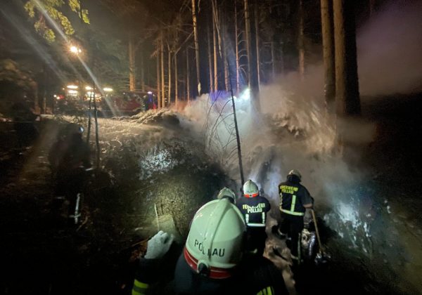 Waldbrand in Köppelreith